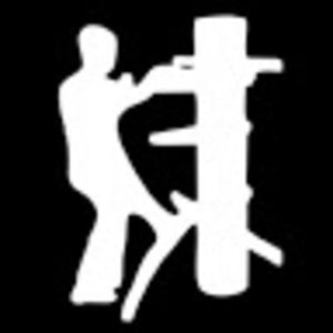 Meet your Posher, Wing chun